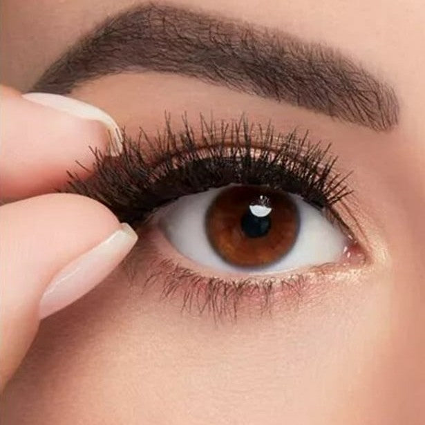 Liner & Lash kit