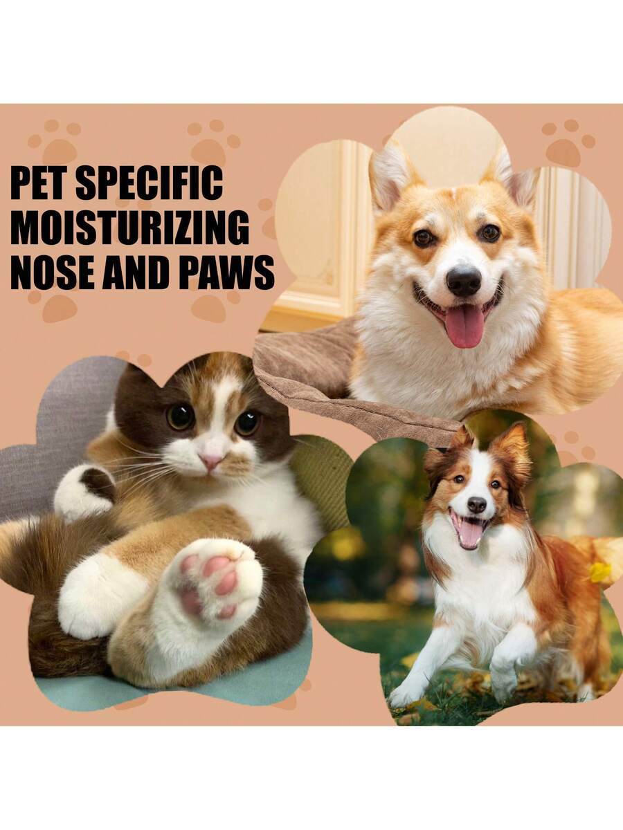 //img.ltwebstatic.com/v4/j/pi/2025/12/10/09/1765369837c0cb842a0aee194bf9781937827ca9e7_square_thumbnail_900x.webp