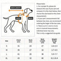 https://img.kwcdn.com/product/pet/430fd44503c1b6804dbecb74260545ae1715394678760.jpg