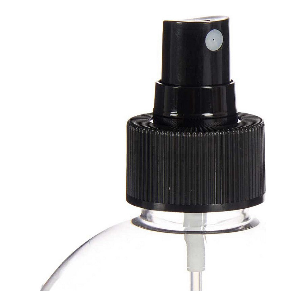 Sprayer Black Transparent Plastic (500 ml)