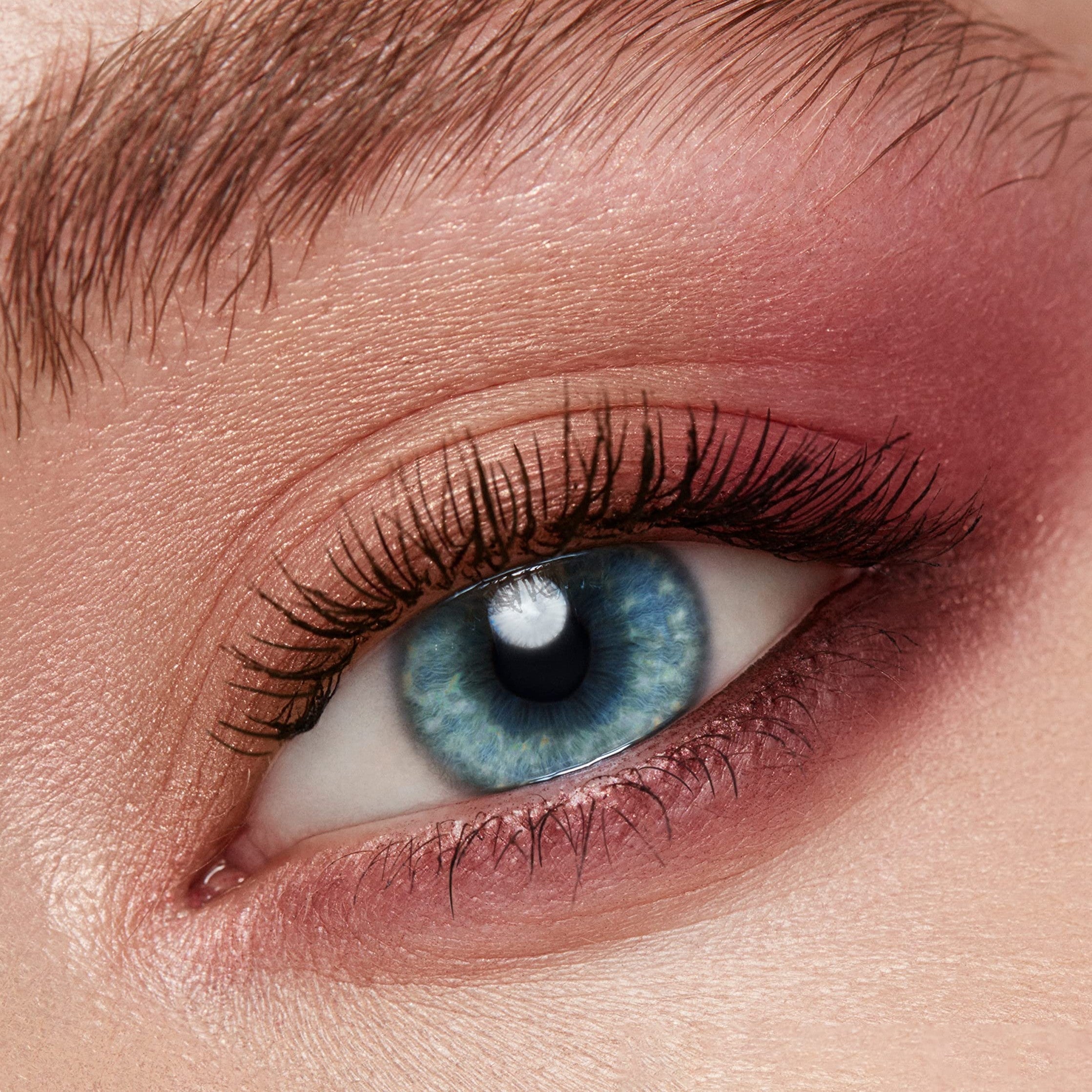 Shadow Quad - Pressed Powder Eyeshadow