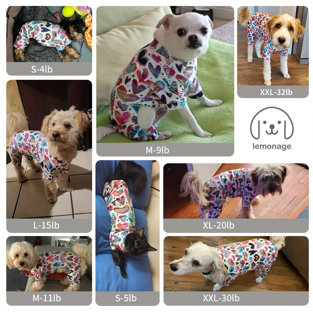 https://img.kwcdn.com/product/fancy/af920a42-2102-42ba-b9b5-007e6758996d.jpg