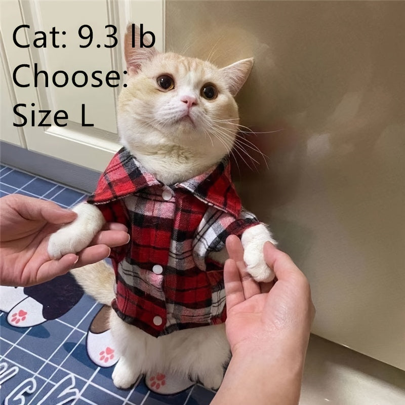 https://img.kwcdn.com/product/Fancyalgo/VirtualModelMatting/cb013033f36e3fcad50acfdc0f91647d.jpg