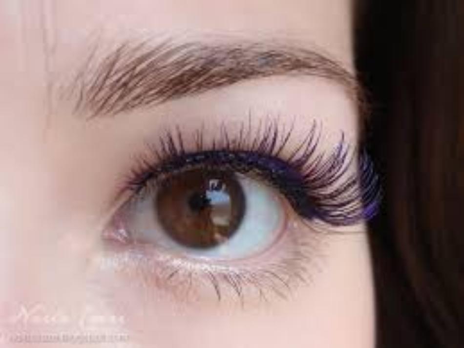 Color Impact Eyelashes